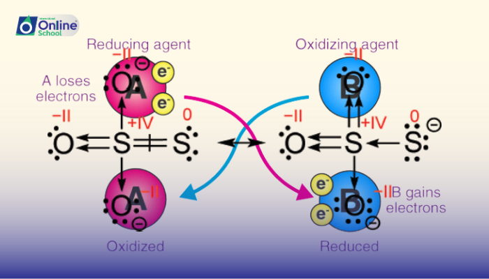 Lesson 05: Defining Oxidation State